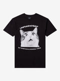 Undiagnosed Cat T Shirt By Call Your Mother T Shirt Comfort Fit Gift Ready